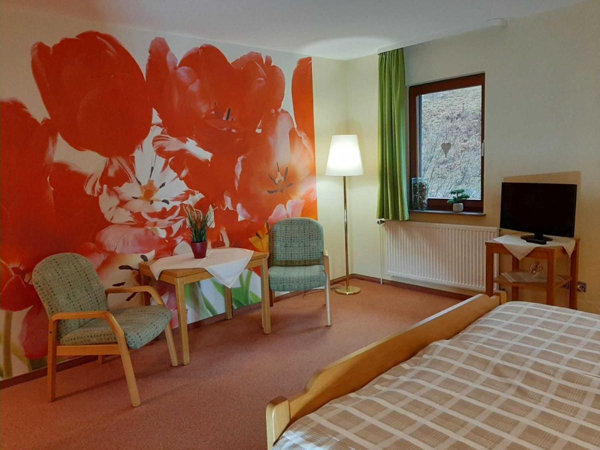 Haus Am Wolfsbach Apartment Zorge Exterior foto